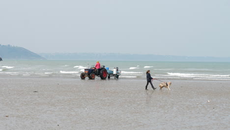 Girl-walking-dog-and-people-on-tractor,-Martin-Beach,-Saint-Brieuc-SLOMO
