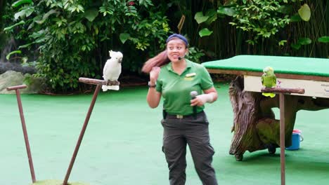 Kakadus-Und-Papageien-Zusammen-Mit-Ihrem-Trainer-In-Einem-Großen-Naturschutzgebiet