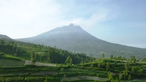 Drohnenflug-über-Die-Terrassenförmig-Angelegten-Brokkoli-Kohl-Kartoffel--Und-Frühlingszwiebelplantagen-In-Den-Bergen-In-Java,-Indonesien,-Mit-Dem-Vulkan-Merapi-Im-Hintergrund