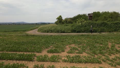 Man-walking-along-a-path-behind-a-large-vegetable-field-in-west-Germany