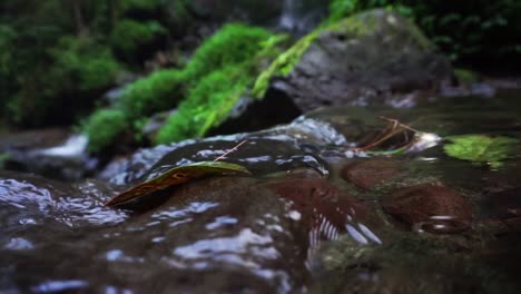 Wunderschöne-Nahaufnahme-Eines-Kleinen-Kristallklaren-Wassers,-Das-über-Einen-Felsen-Im-Dschungel-Indonesiens-Fließt
