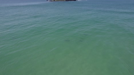 Vista-Panorámica-De-Los-Delfines-Nariz-De-Botella-Nadando-Bajo-El-Agua-Cerca-De-La-Isla-Cook-En-Nueva-Gales-Del-Sur,-Australia