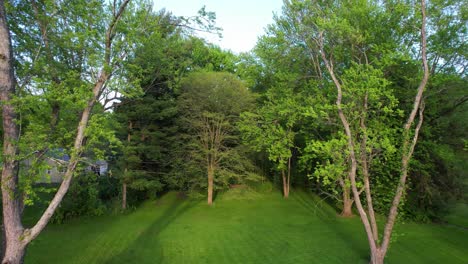 Drone-footage-of-tree-tops-in-Residential-single-family-house-backyard-in-Ohio