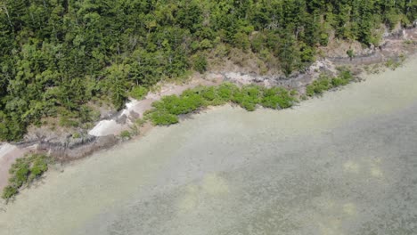 Schneller-Drohnenabstieg-Mit-Blick-über-Die-Küste-Und-Die-Vegetation-Der-Whitsundays-Inseln-In-Australien