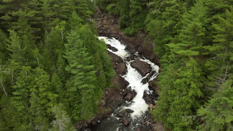 Rising-aerial-over-Oxtongue-falls-green-trees-river-flowing-Algonquin-park-day