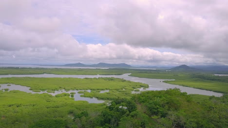 Drone-taking-flight-and-showing-a-beautiful-nature-view-on-morass,-Boca-Chica,-Panama