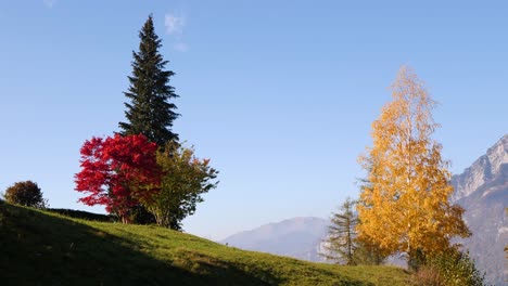 Beautiful-scenery-with-trees-and-big-mountains-in-Switzerland-while-fall