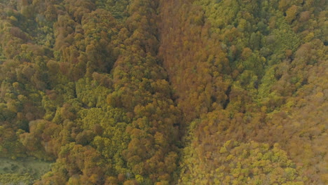 Aerial-footage,-wild-forests-of-the-Balkan-Peninsula-during-the-autumn-period