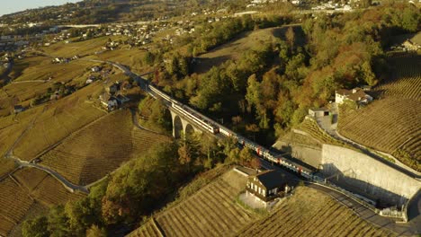 Aerial-shot-of-Swiss-trains-crossing-on-viaduct-in-Lavaux-vineyard,-Switzerland