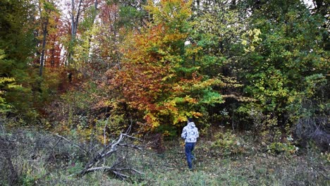 Person-Im-Kapuzenpullover,-Die-Waldbäume-Betrachtet-Und-Herbstfotos-Schießt