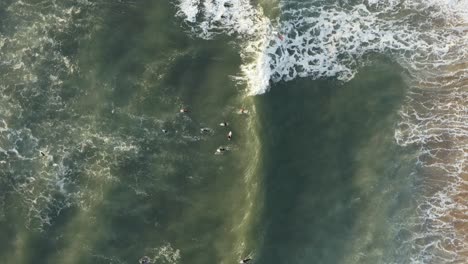 4k-footage---Aerial---drone-view-of-surfers-waiting-for-the-waves-coming-in