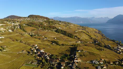High-aerial-orbit-around-Savuit-village-in-Lavaux-vineyard,-Switzerland-Lake-Léman-and-the-Alps-in-the-background,-autumn-colors