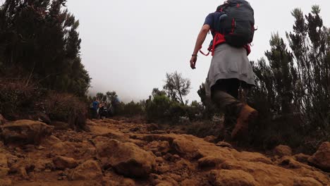 Static-shot-of-a-man,-hiking-on-the-uhuru-trail,-between-plants-and-rocks,-towards-the-summit-of-mount-Kilimanjaro,-on-a-sunny-day,-in-Tanzania,-Africa