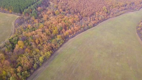 Aerial-drone-shot-of-a-forest-on-a-hill-in-a-rural-area-in-Hungary