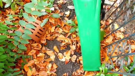Clearing-leaves-in-windy-garden-with-leaf-blower-vacuum