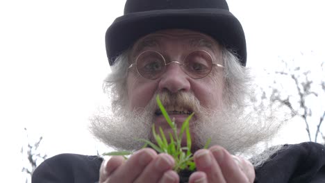 Older-man-with-beard-looking-down-at-fresh-grass-growing-in-his-hands