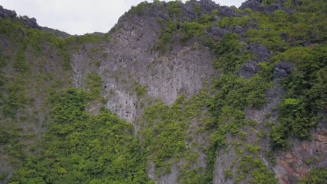 Aerial-view-of-limestone-cliffs-with-vegetation-in-El-Nido,-Palawan,-the-Philippines-pedestal-up