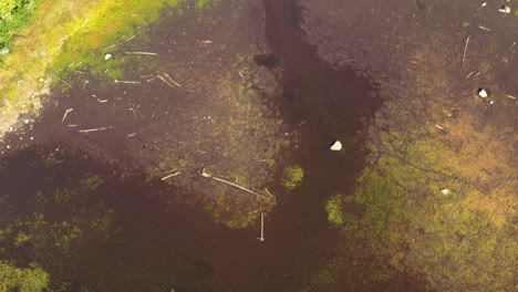 Aerial-footage-of-a-remote-lake-in-northern-Maine-pulling-back-over-a-muddy-inlet-after-dry-summer