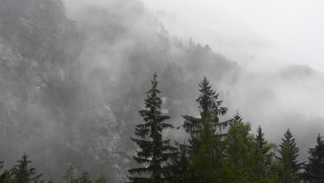 Rainy-day-in-Alpine-valley-with-low-clouds,-Logarska-dolina,-Slovenia,-clouds-and-fog-slowly-moving-behind-trees,-unpredictable-mountain-weather,-danger-for-hikers-and-climbers,-4k,-pan-left-to-right