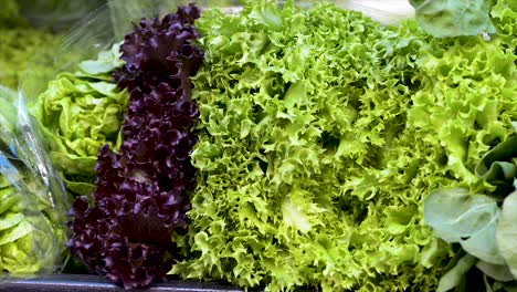 Different-kinds-of-fresh-lettuces-on-display-for-sale-at-free-fair