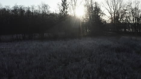 early-morning-winter-landscape,-tracking-shot-over-frost-covered-bushes-backwards-out-of-the-dark,-ray-beams-and-backlight,-pathway,-very-romantic