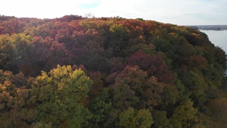 aerial-fall-colors-in-peaceful-forest