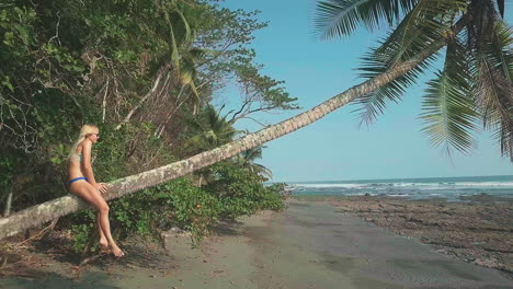 Aerial-shot-of-a-blonde-woman-sitting-on-a-picturesque-horizontal-palm-tree-on-the-beaches-of-Punta-Banco,-Costa-Rica