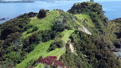 Drohnenansicht-Von-Tapeka-Point,-Russell-Island,-Neuseeland