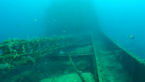 Crane-aboard-the-shipwreck-Shakem