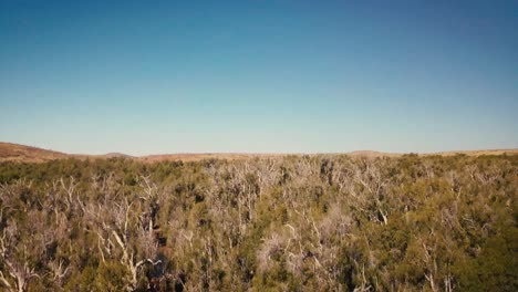 Aerial-Drone-top-view-elevating-through-Australian-Desert-Oasis-Billabong