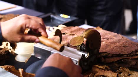Cigar-maker-cutting-off-the-end-of-a-cigar-in-a-factory-in-the-Caribbean