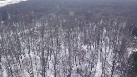 Aerial-view-of-the-forest-in-the-winter-on-the-suburbs-of-the-city