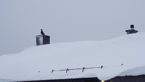 Nach-Einem-Schneesturm-Liegt-In-Norwegen-Viel-Schnee-Auf-Den-Dächern