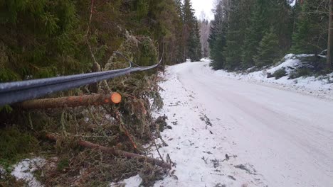 Stromleitung-Durch-Umgestürzte-Bäume-Zerrissen,-Wintersturm,-Kabel-Nicht-Unter-Der-Erde-Verlegt