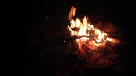 Campfire-with-burned-woods-and-ashes-in-forest-stock-video-I-Beautiful-campfire-or-bonfire-full-shot-stock-video