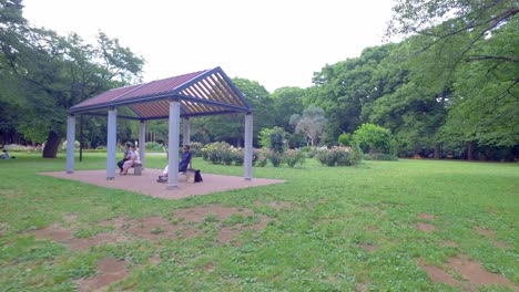 Caminando-A-Un-Jardín-En-El-Parque-Yoyogi-Con-Gente