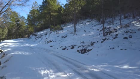 Aerial-low-shot-of-a-snowed-road-in-the-woods-full-of-mediterranean-pines