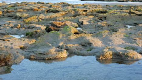 Felsenbecken-An-Einem-Australischen-Strand
