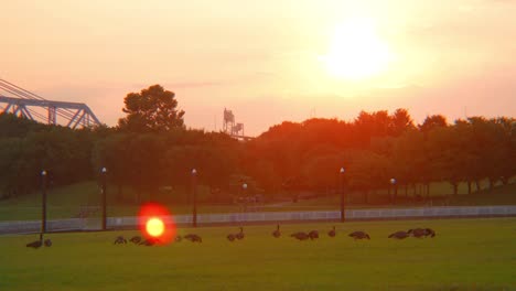 Sonnenaufgang-In-Louisville-über-Dem-Waterfront-Park