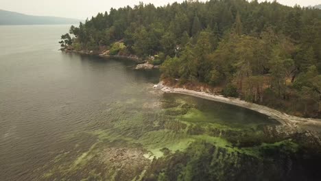 Aerial-Daytime-Wide-Shot-Over-Green-Ocean-Waves-Panning-Left-To-Reveal-A-Rocky-Tree-Covered-Point-And-Sand-Beach-Showing-Turquoise-Underwater-Rocks-And-Kelp-In-Gulf-Islands-British-Columbia-Canada