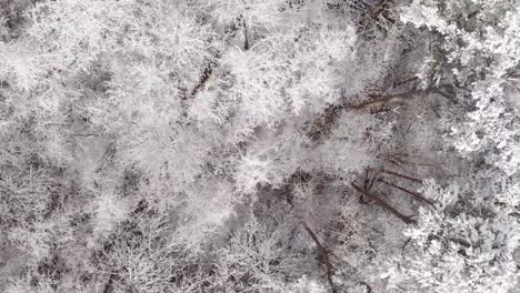 Aerial-footage-over-snowy-forest