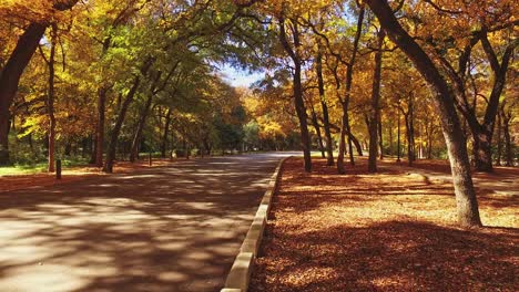 Van-driving-through-the-trees-and-beautiful-autumn-colors-of-city-park