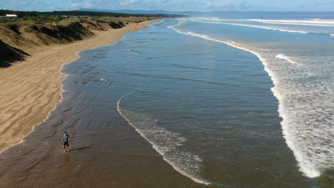 Aerial-view-of-a-man-walk-along-a-long-beach,-waves-rolling-over-the-beach,-New-Zealand