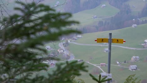 Tiro-Deslizante-Detrás-De-Un-Pino-Para-Mostrar-Un-Cartel-De-Sendero-En-Suiza
