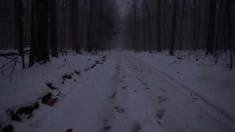 Footsteps-in-the-snow-in-a-dark-scary-forest
