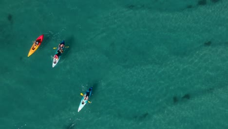 Aerial-view-of-a-group-of-people-paddling-in-kayaks