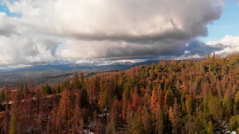 Aerial-view-of-mountains-and-forest-after-a-winter-storm