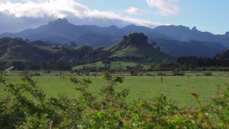 Hermosa-Vista-De-Las-Verdes-Colinas-Y-Valles-De-Nueva-Zelanda-Tomada-De-Un-Auto-Que-Pasa-Por-Un-Grupo-De-árboles