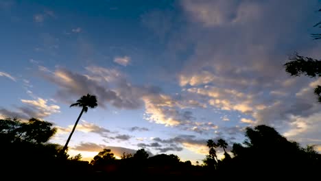 From-the-rooftop-in-Scottsdale,-Arizona-storm-clouds-fill-the-sky-as-the-sun-sets-against-a-silhouetted-foreground-of-palm-trees,-bushes,-and-desert-plants