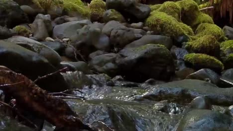 water-cascading-over-moss-covered-rock-in-a-mountain-stream-on-a-warm-spring-day